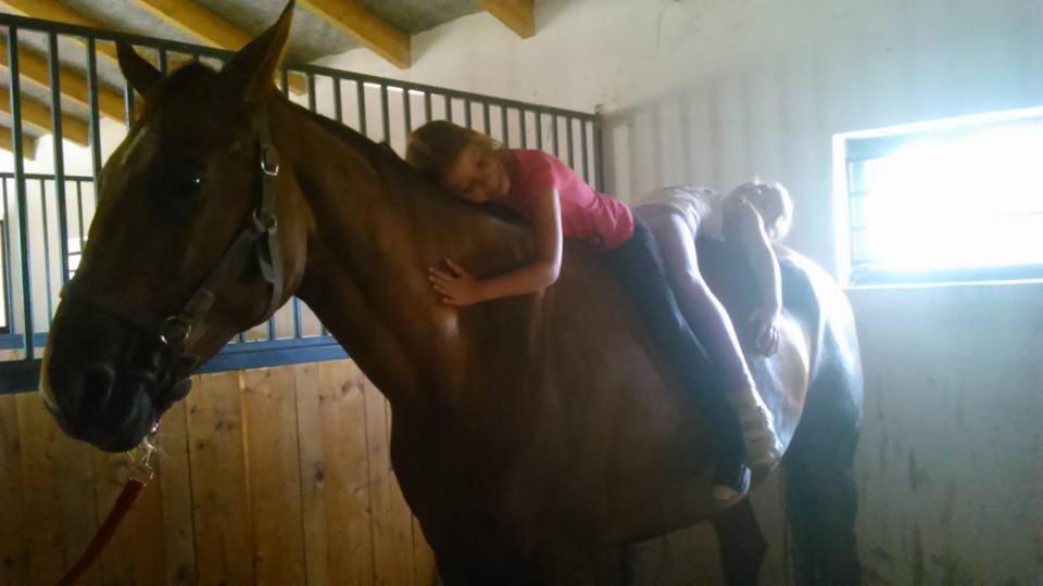 Caballus Lovasmajor Panzio Nyíregyháza Екстериор снимка
